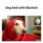 Roundable Pet Bed with Included Blanket - Image 5