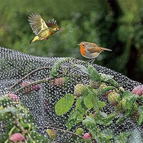 Hdpe Bird Protection Net